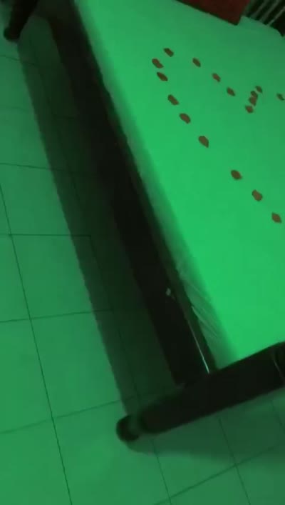 17210483504814.mp4