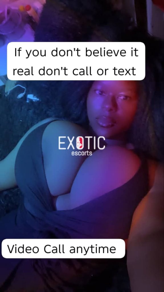 17582027519061.mp4