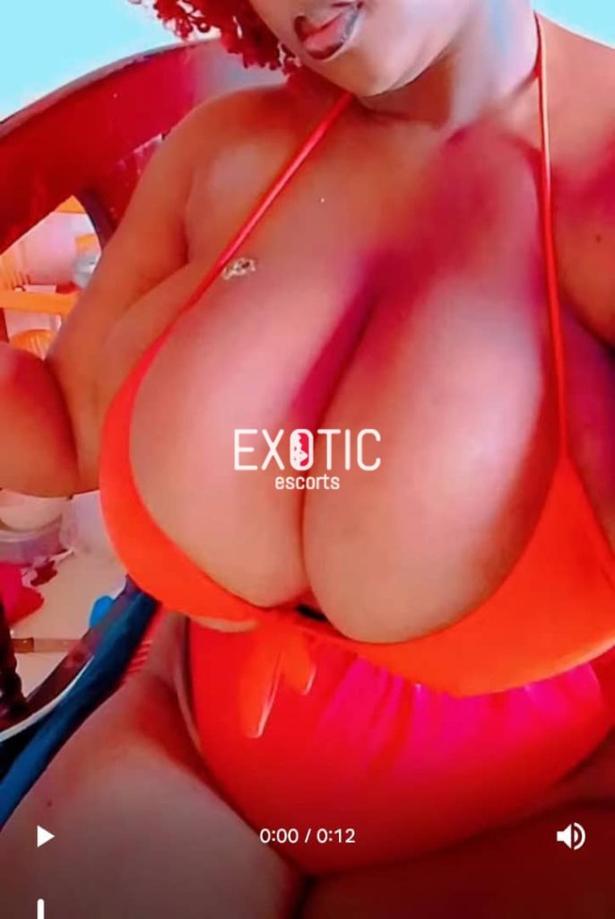 17607689298811.mp4